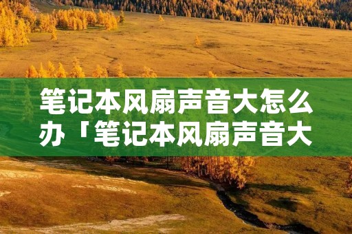 笔记本风扇声音大怎么办「笔记本风扇声音大怎么办视频」