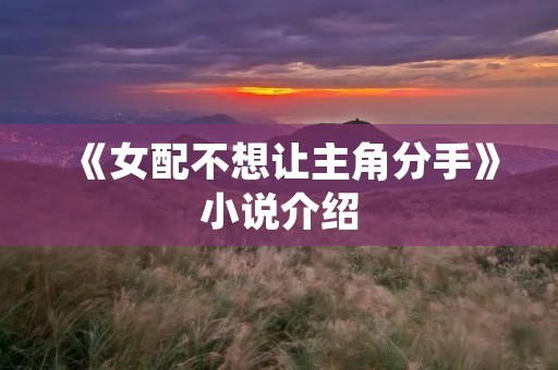 《女配不想让主角分手》小说介绍