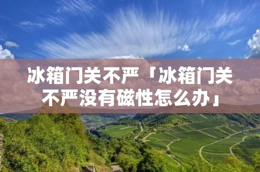冰箱门关不严「冰箱门关不严没有磁性怎么办」