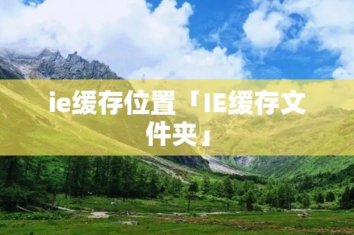 ie缓存位置「IE缓存文件夹」