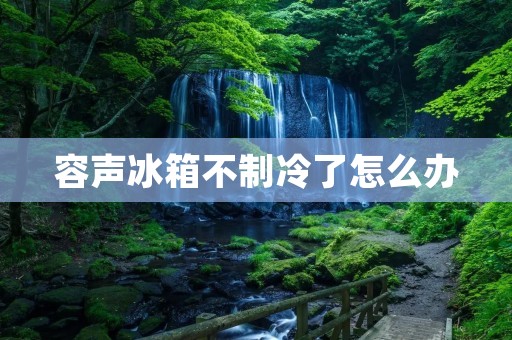 容声冰箱不制冷了怎么办