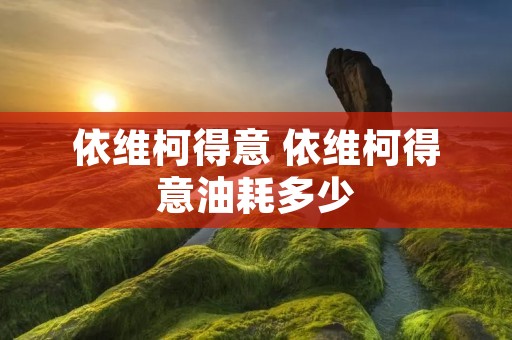 依维柯得意 依维柯得意油耗多少 依维柯得意 依维柯得意油耗多少