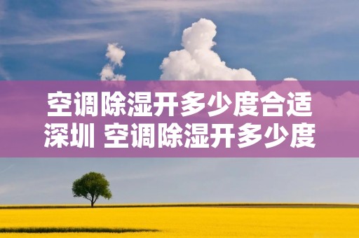 空调除湿开多少度合适深圳 空调除湿开多少度合适不知道室温 空调除湿开多少度合适深圳 空调除湿开多少度合适不知道室温