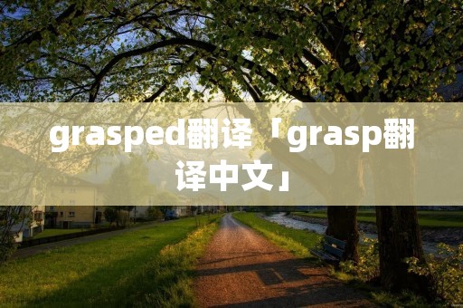 grasped翻译「grasp翻译中文」