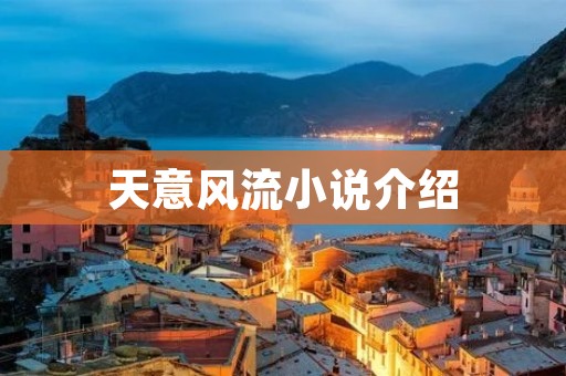 天意风流小说介绍