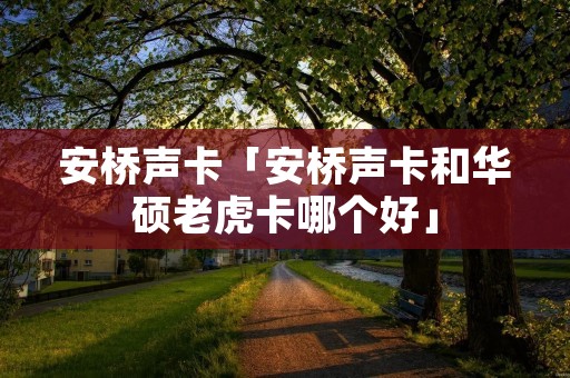 安桥声卡「安桥声卡和华硕老虎卡哪个好」 安桥声卡「安桥声卡和华硕老虎卡哪个好」