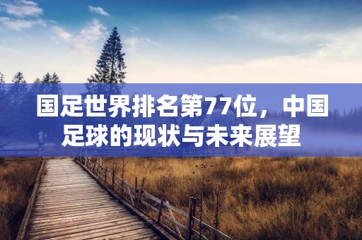 国足世界排名第77位,中国足球的现状与未来展望 国足世界排名第77位,中国足球的现状与未来展望