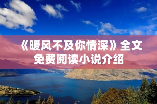 《暖风不及你情深》全文免费阅读小说介绍