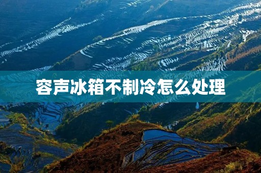 容声冰箱不制冷怎么处理 容声冰箱不制冷怎么处理