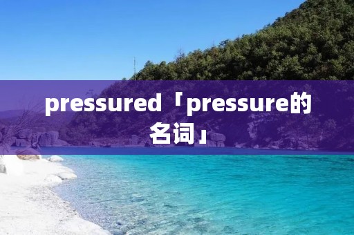 pressured「pressure的名词」