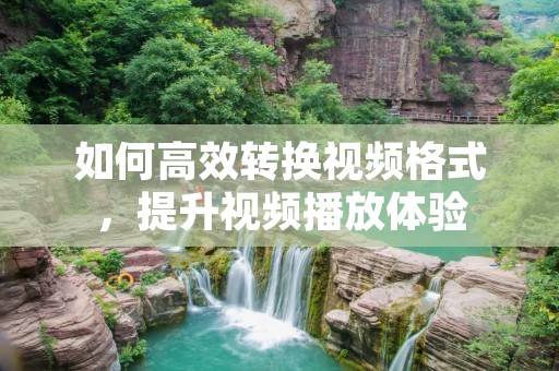 如何高效转换视频格式，提升视频播放体验