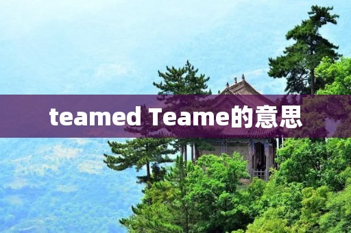 teamed Teame的意思