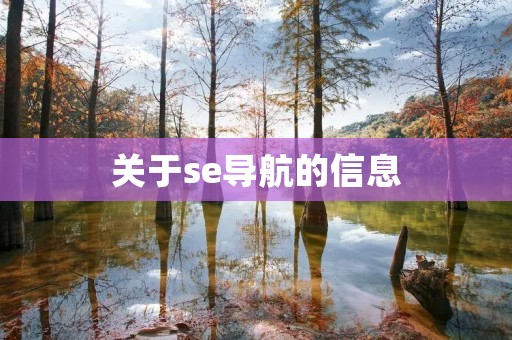 关于se导航的信息 关于se导航的信息