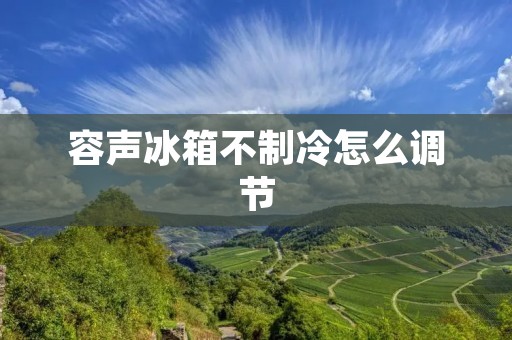 容声冰箱不制冷怎么调节