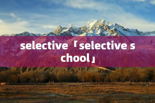 selective「selective school」