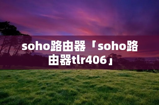 soho路由器「soho路由器tlr406」 soho路由器「soho路由器tlr406」