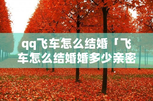 qq飞车怎么结婚「飞车怎么结婚婚多少亲密度」