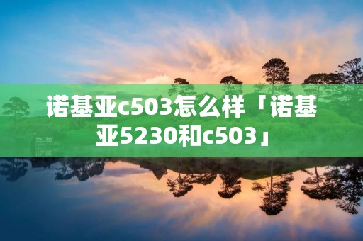 诺基亚c503怎么样「诺基亚5230和c503」