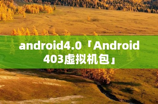 android4.0「Android403虚拟机包」