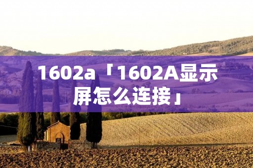 1602a「1602A显示屏怎么连接」