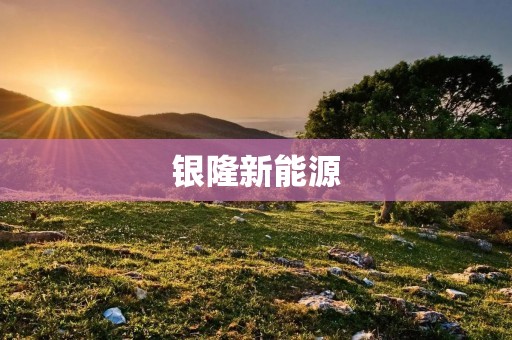 银隆新能源：引领新能源汽车革命的先锋