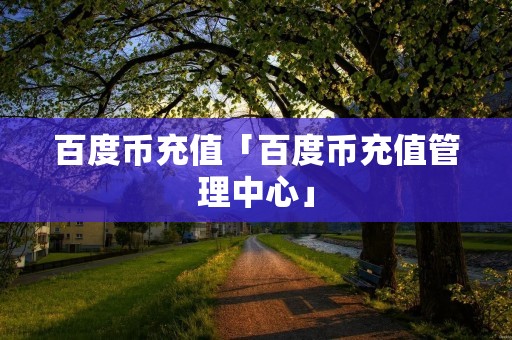 百度币充值「百度币充值管理中心」