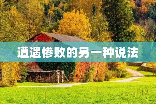 遭遇惨败的另一种说法