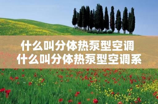 什么叫分体热泵型空调 什么叫分体热泵型空调系统 什么叫分体热泵型空调 什么叫分体热泵型空调系统