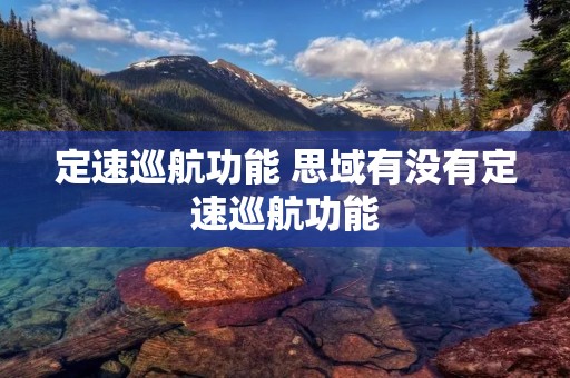 定速巡航功能 思域有没有定速巡航功能 定速巡航功能 思域有没有定速巡航功能