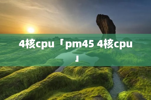 4核cpu「pm45 4核cpu」