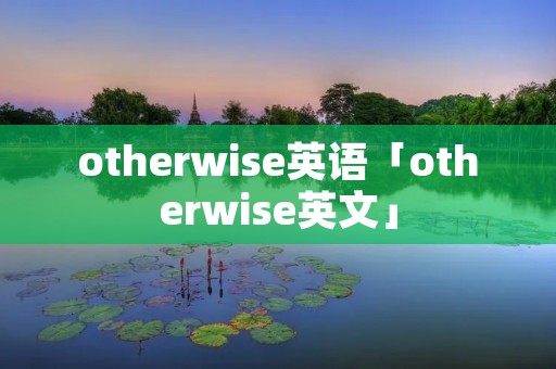 otherwise英语「otherwise英文」
