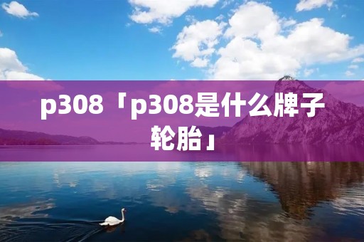p308「p308是什么牌子轮胎」