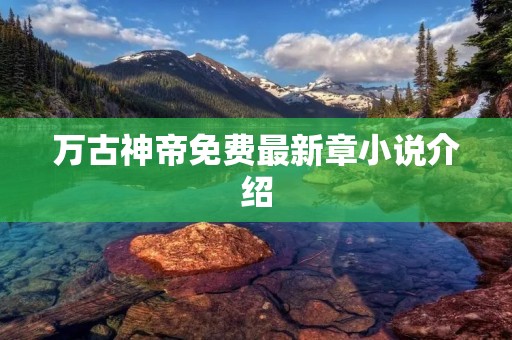 万古神帝免费最新章小说介绍