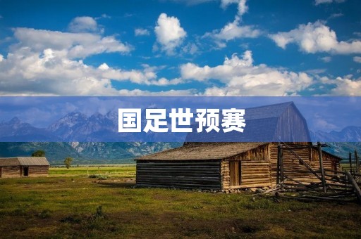 国足世预赛：揭开中国足球的新篇章