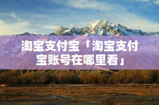 淘宝支付宝「淘宝支付宝账号在哪里看」