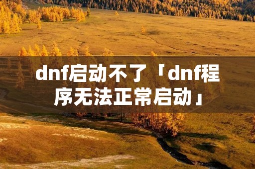 dnf启动不了「dnf程序无**常启动」