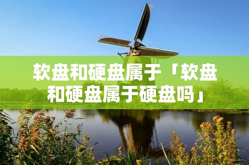 软盘和硬盘属于「软盘和硬盘属于硬盘吗」 软盘和硬盘属于「软盘和硬盘属于硬盘吗」