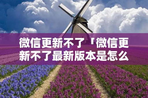 微信更新不了「微信更新不了最新版本是怎么回事」 微信更新不了「微信更新不了最新版本是怎么回事」