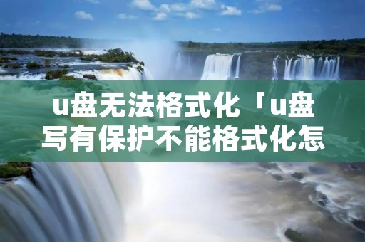 u盘无法格式化「u盘写有保护不能格式化怎么办」 u盘无法格式化「u盘写有保护不能格式化怎么办」