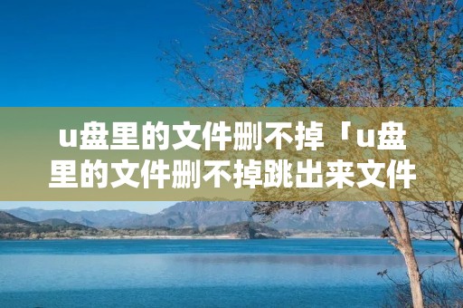 u盘里的文件删不掉「u盘里的文件删不掉跳出来文件夹被访问」 u盘里的文件删不掉「u盘里的文件删不掉跳出来文件夹被访问」