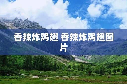 香辣炸鸡翅 香辣炸鸡翅图片