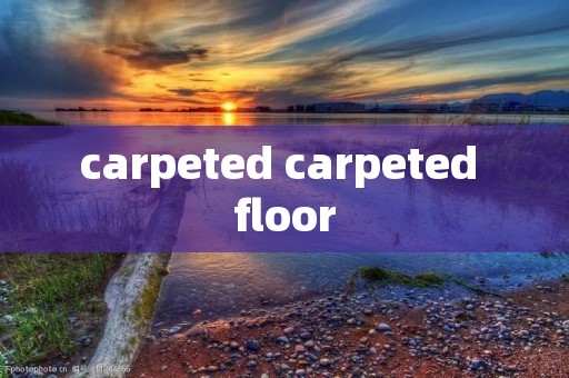 carpeted carpeted floor
