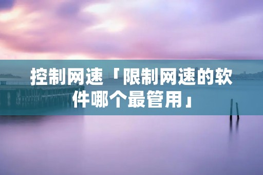 控制网速「限制网速的软件哪个最管用」 控制网速「限制网速的软件哪个最管用」