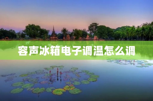 容声冰箱电子调温怎么调 容声冰箱电子调温怎么调