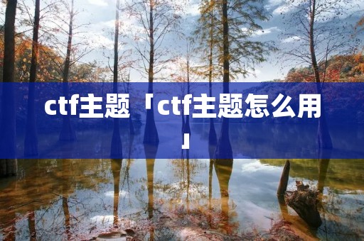 ctf主题「ctf主题怎么用」