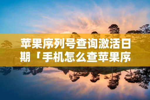 苹果序列号查询激活日期「手机怎么查苹果序列号查询激活日期」