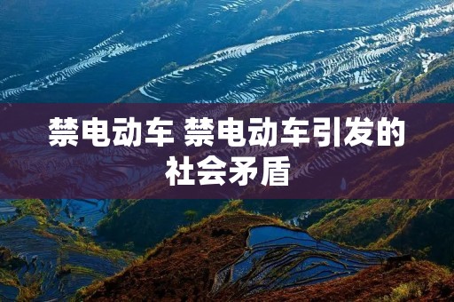 禁电动车 禁电动车引发的社会矛盾