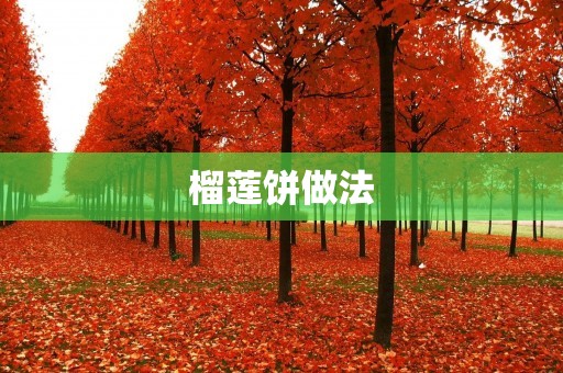 榴莲饼做法:让你在家也能尽情享受榴莲的香甜 榴莲饼做法:让你在家也能尽情享受榴莲的香甜