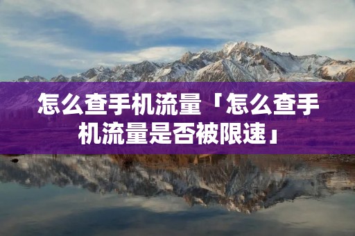 怎么查手机流量「怎么查手机流量是否被限速」