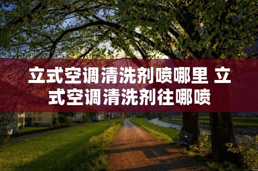 立式空调清洗剂喷哪里 立式空调清洗剂往哪喷 立式空调清洗剂喷哪里 立式空调清洗剂往哪喷